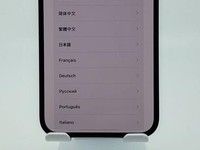 Apple iPhone 13 Pro Max