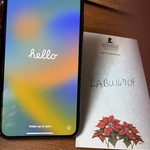 Mint Apple iPhone 11 Pro Max - Unlocked, 64 GB, Green, A2161