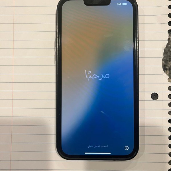 Apple iPhone 13 Pro Max - Unlocked, 128 GB, Green, A2484