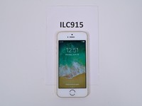 Apple iPhone SE 1st Gen 2016