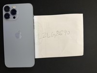 Apple iPhone 13 Pro Max