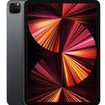 Mint Apple iPad Pro 11 inch 3rd Gen 2021 - Unlocked, Gray, 512 GB