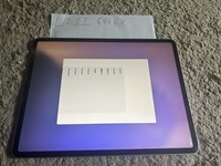 Apple iPad Pro 12.9" 4th Gen 2020
