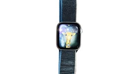 Good
													Apple Watch Series 6 44mm - Silver, A2292 - GPS, Aluminum, photo 3 of 5