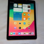 Good Apple iPad (6th Gen) - Unlocked, 32 GB, Gray, A1954