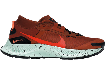 Nike Pegasus Trail 3 Gore-Tex Rugged Orange for sale
