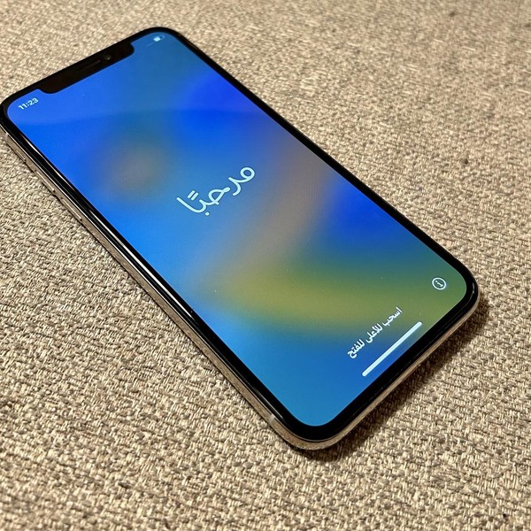 Apple iPhone X - Unlocked, 256 GB, Silver, A1865