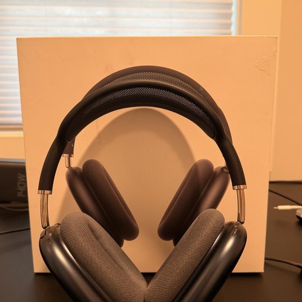 Apple AirPods Max - Gray