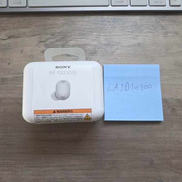 Sony WF-1000XM6 - Platinum Silver
