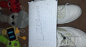 Used
													Jordan 5 Retro Low Metallic White (Women's) - 9.5, photo 4 of 8