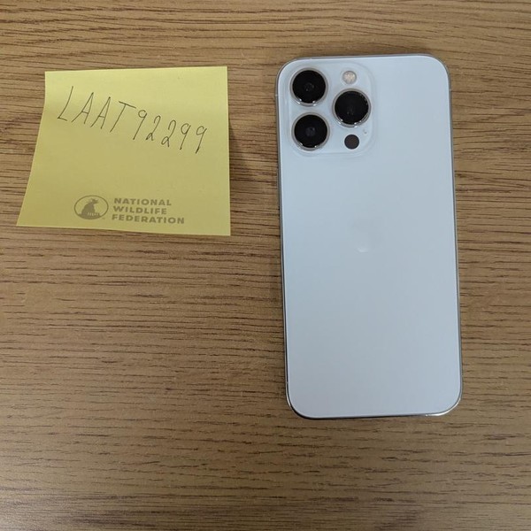 Apple iPhone 13 Pro - Unlocked, Silver, 128 GB, A2483