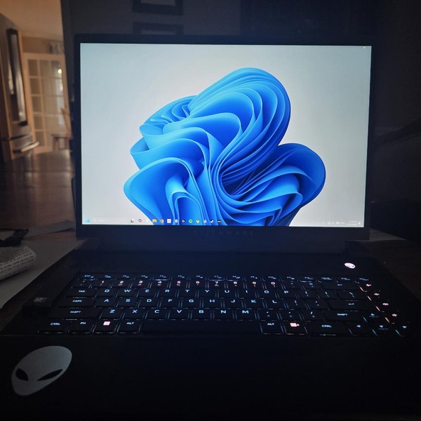 Dell Alienware Laptop