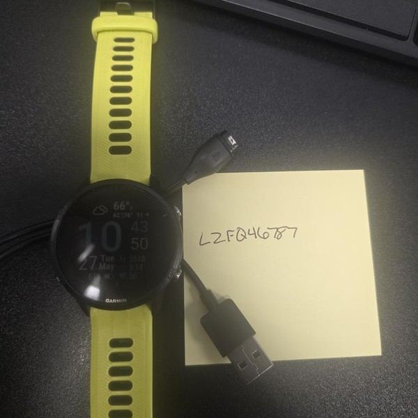 Garmin Forerunner 955 - Black, Standard