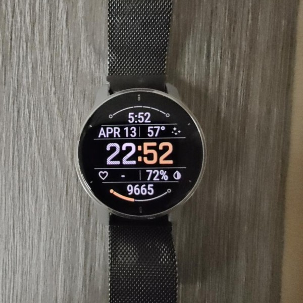 Garmin Venu 2 Plus - Silver