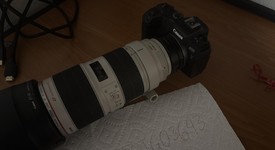 Mint
													Canon EOS R, photo 3 of 6