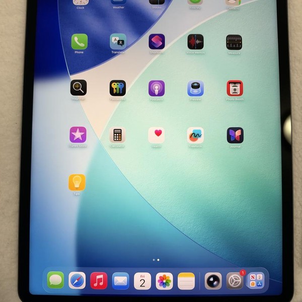 Apple iPad Pro 12.9 inch 5th Gen 2021 - Wi-Fi, 256 GB, Gray