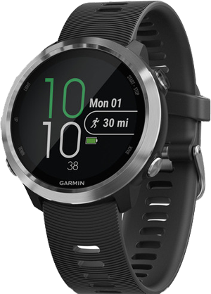 Garmin Forerunner 645 - Silver, Regular