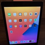 Mint Apple iPad Air 2 - Wi-Fi, 128 GB, Gray