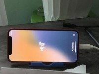 Apple iPhone 12 Mini
