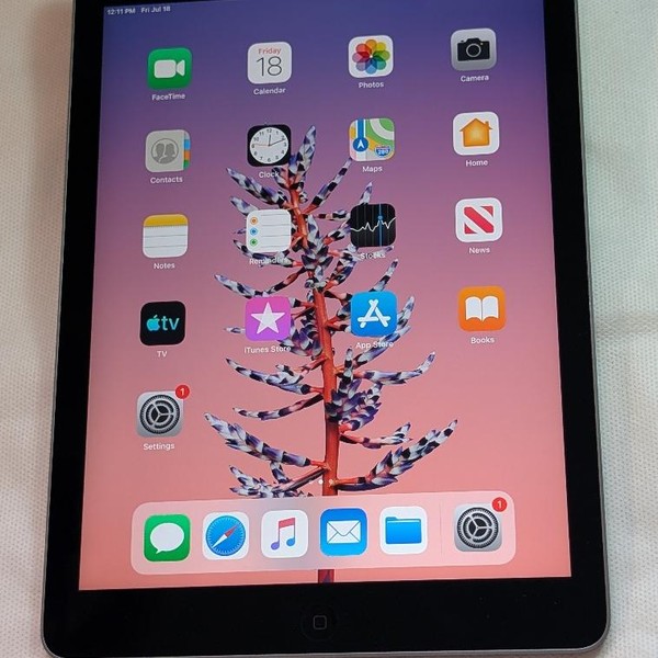 Apple iPad Air - Unlocked, 32 GB, Gray