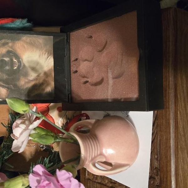 Samsung Galaxy Z Flip7 - Verizon, 256 GB, Blue Shadow, 12 GB, SM-F766U