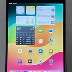 Fair Apple iPad Pro 10.5 inch - Unlocked, Gray, 256 GB