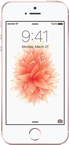 Apple iPhone SE 1st Gen 2016 - Sprint, Grey, 128 GB, A1723