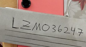 Good
													Samsung Galaxy S25 - Unlocked, Coralred, 128 GB, 12 GB, SM-S931U1, photo 3 of 9