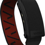 Mint Whoop Fitness Tracker - Other