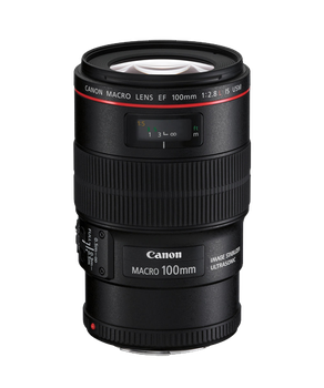 Canon EF 100mm f/2.8L Macro IS USM for sale