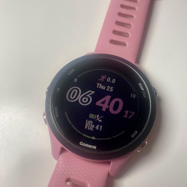 Garmin Forerunner 255S - Pink, Standard
