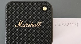 Mint
													Marshall Willen, photo 1 of 7