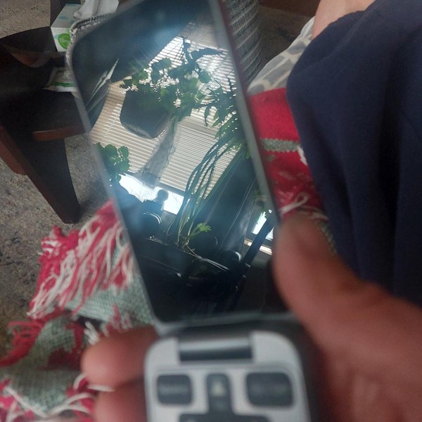 Jitterbug Flip2 - Lively, Red