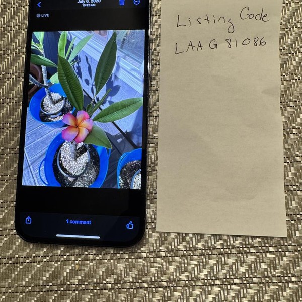 Apple iPhone 13 Pro Max - Verizon, Sierra Blue, 512 GB, A2484