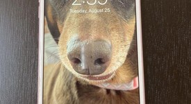 Good
													Apple iPhone 6S Plus - T-Mobile, Rose Gold, 16 GB, A1687, photo 4 of 5