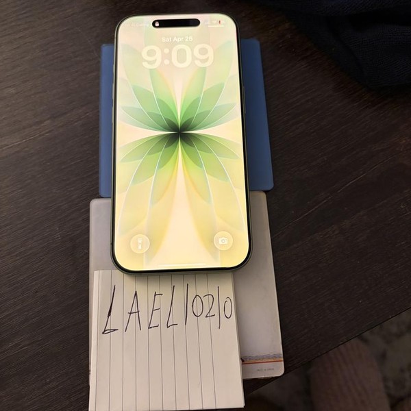 Apple iPhone 17 - Mint Mobile, 256 GB, Sage, A3258