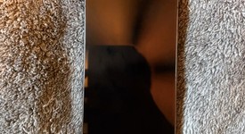 Fair
													Google Pixel 9 Pro - Verizon, Obsidian, 256 GB, 16 GB, GR83Y, photo 1 of 3