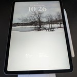 Good Apple iPad Pro 11 inch 3rd Gen 2021 - Unlocked, 256 GB, Gray