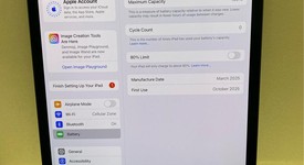 Mint
													Apple iPad Pro 11" (M4) 2024 - Wi-Fi, Black, 256 GB, 8 GB, A2836, Standard Glass, photo 4 of 12
