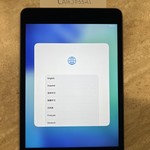 Mint Apple iPad Mini (5th Gen) - Wi-Fi, 64 GB, Gray