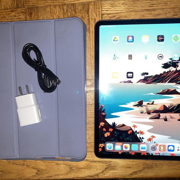 Apple iPad Pro 11 inch 2nd Gen 2020 - Unlocked, 256 GB, Gray, A2068