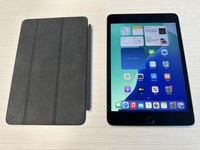 Apple iPad Mini 5th Gen