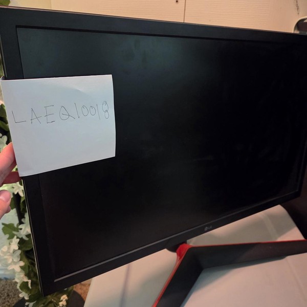 LG Gaming Monitor