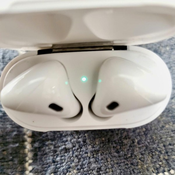 Apple AirPods 1st Gen - Lightning Case