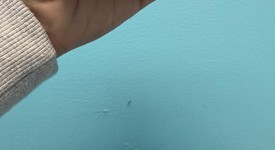 New
													Apple iPhone 16e - Unlocked, White, 128 GB, A3212, photo 2 of 5