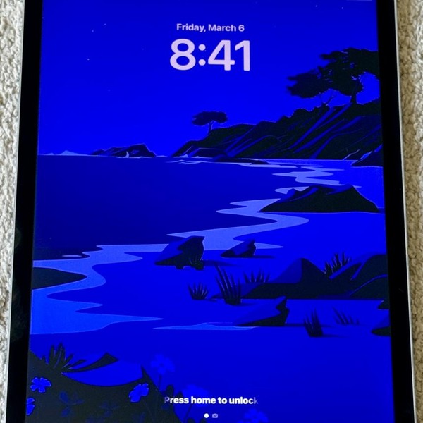 Apple iPad Pro 12.9 inch 1st Gen 2015 - Wi-Fi, 32 GB, Gray, A1584, 1st Gen 2015