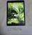 Mint Apple iPad 9th Gen - Wi-Fi, Gray, 256 GB, A2602