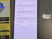 Apple iPhone 16 Pro Max