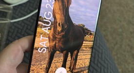 Good
													Google Pixel 6 Pro - Unlocked, Black, 128 GB, 12 GB, G8VOU, photo 1 of 13