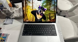 Mint
													MacBook Pro 2021 - 14" - Apple M1 Pro 8-core, Silver, 512 GB, 16 GB, photo 3 of 5